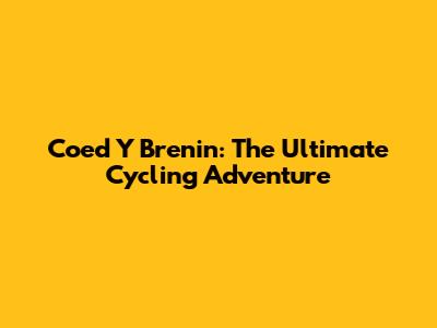 Coed Y Brenin: The Ultimate Cycling Adventure