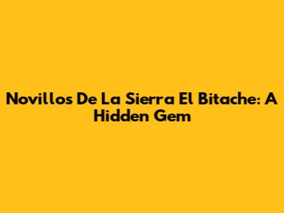 Novillos De La Sierra El Bitache: A Hidden Gem