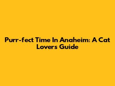 Purr-fect Time In Anaheim: A Cat Lover's Guide
